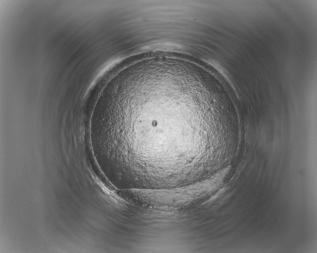 X0000078291115200611172115