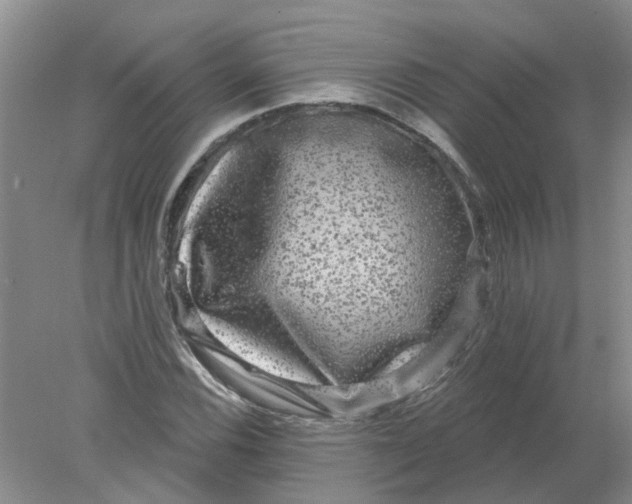 X0000078291116200611172115