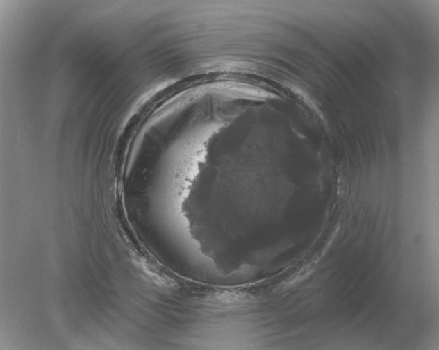 X0000078291117200611172115