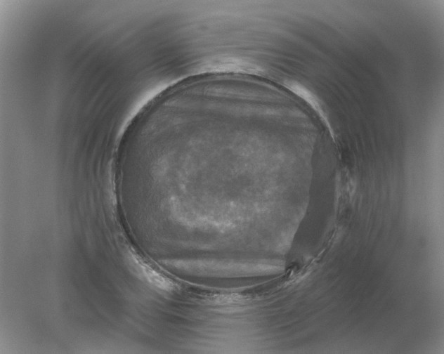 X0000078291120200611172115