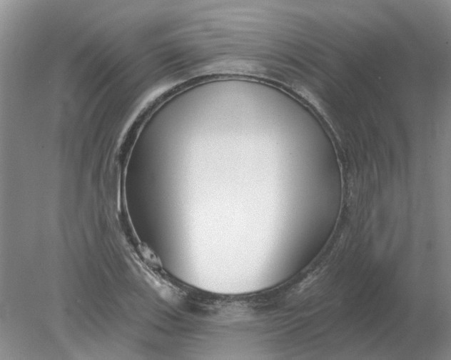 X0000078291123200611172115