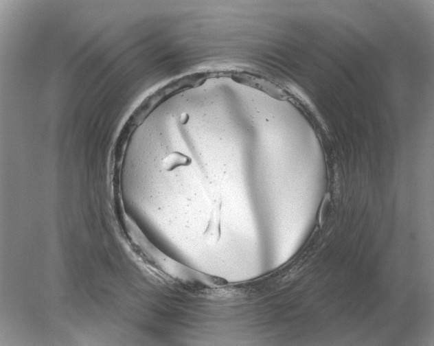 X0000078291124200611172115