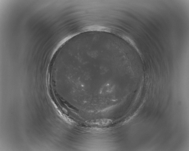 X0000078291125200611172115