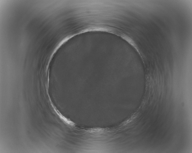 X0000078291127200611172115