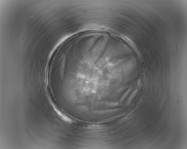 X0000078291128200611172115