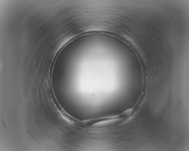 X0000078291129200611172115