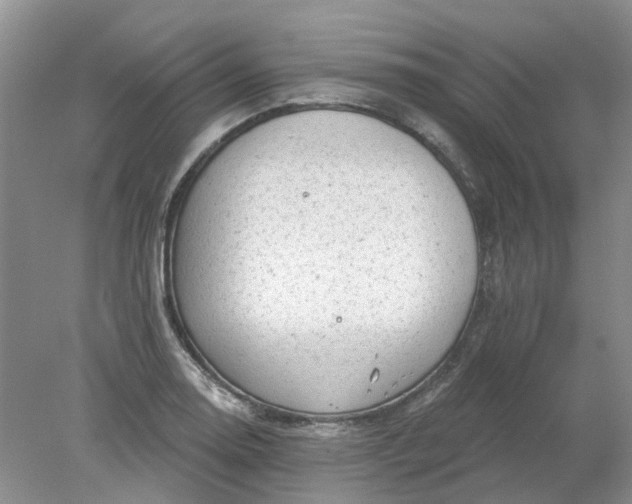 X0000078291130200611172115