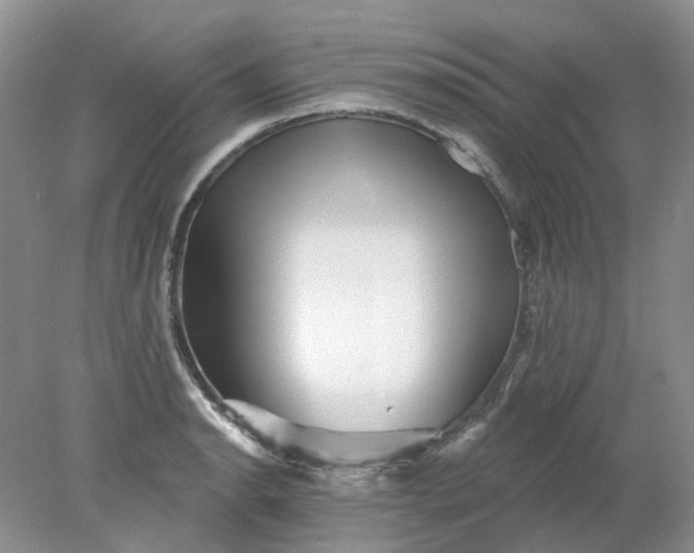 X0000078291134200611172115