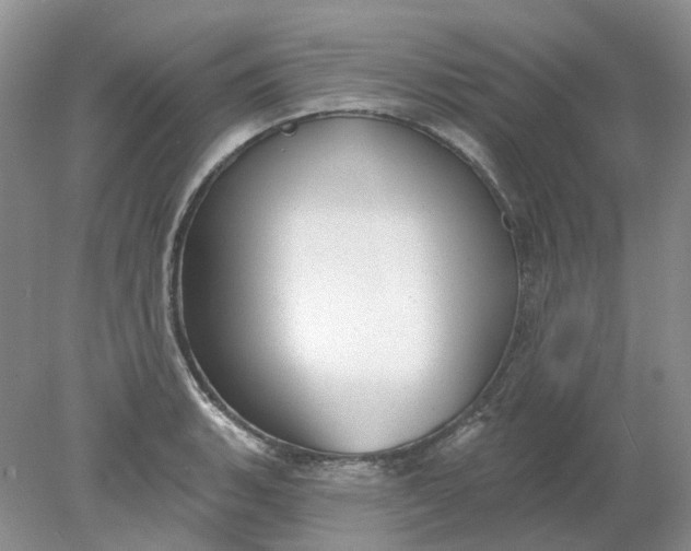 X0000078291135200611172115