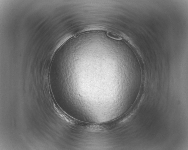 X0000078291137200611172115