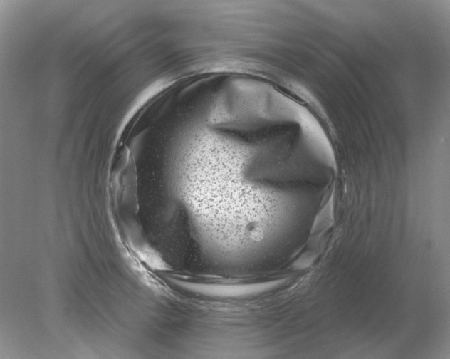 X0000078291138200611172115