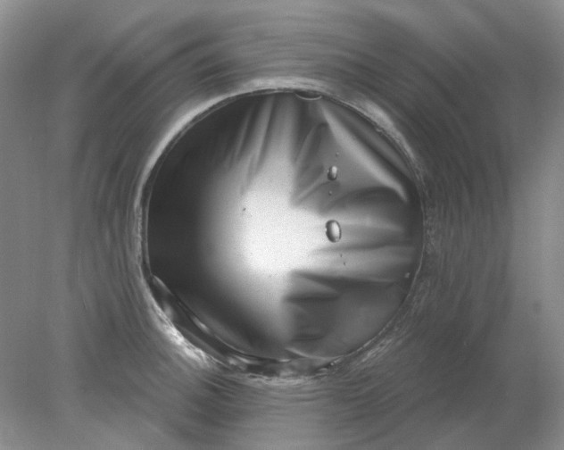 X0000078291140200611172115