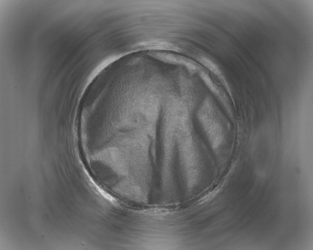 X0000078291141200611172115