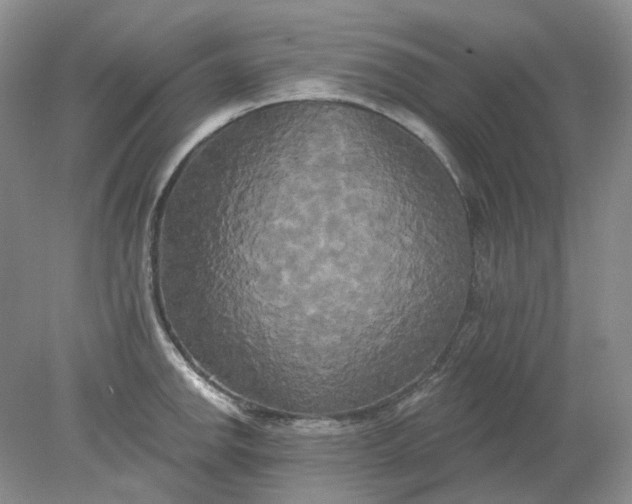 X0000078291142200611172115