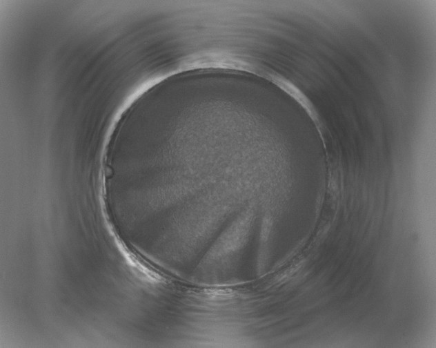 X0000078291144200611172116