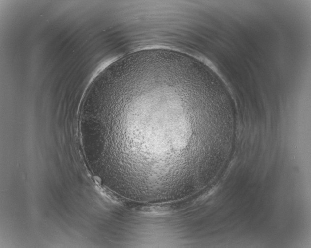 X0000078291145200611172116