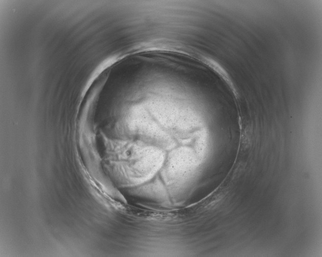 X0000078291146200611172116