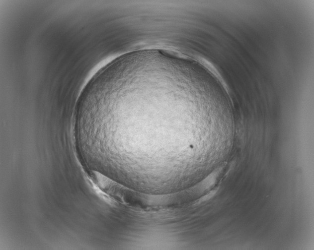 X0000078291149200611172116