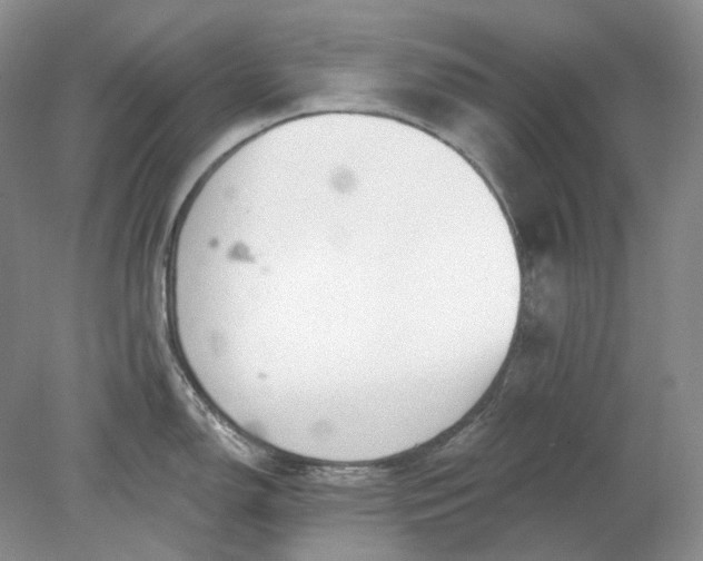 X0000078291150200611172116