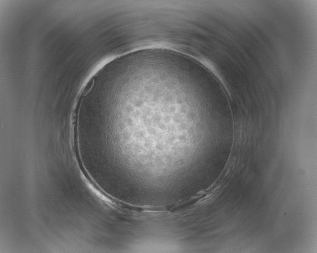 X0000078291151200611172116