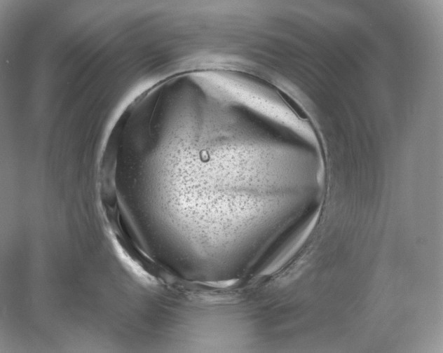 X0000078291152200611172116