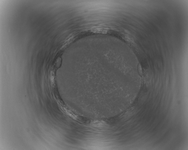 X0000078291154200611172115