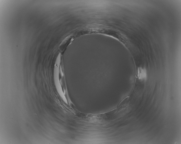 X0000078291155200611172115