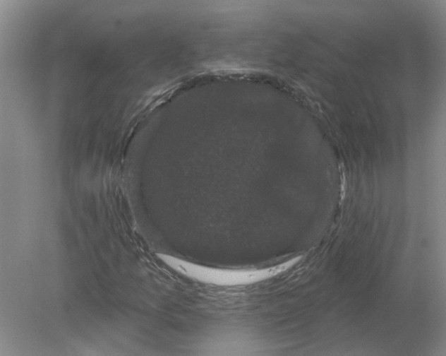 X0000078291157200611172115