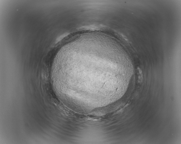 X0000078291158200611172115