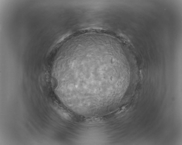 X0000078291159200611172115