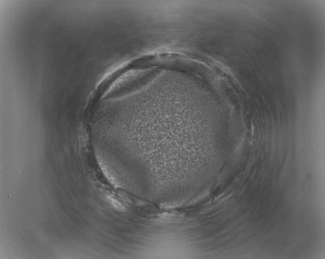 X0000078291160200611172115