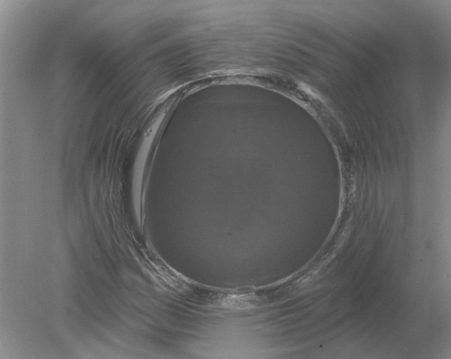 X0000078291161200611172115