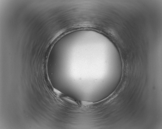 X0000078291162200611172115