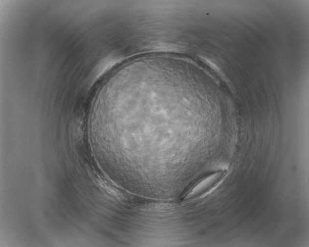 X0000078291163200611172115