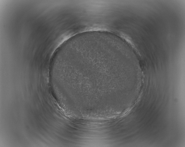 X0000078291165200611172115