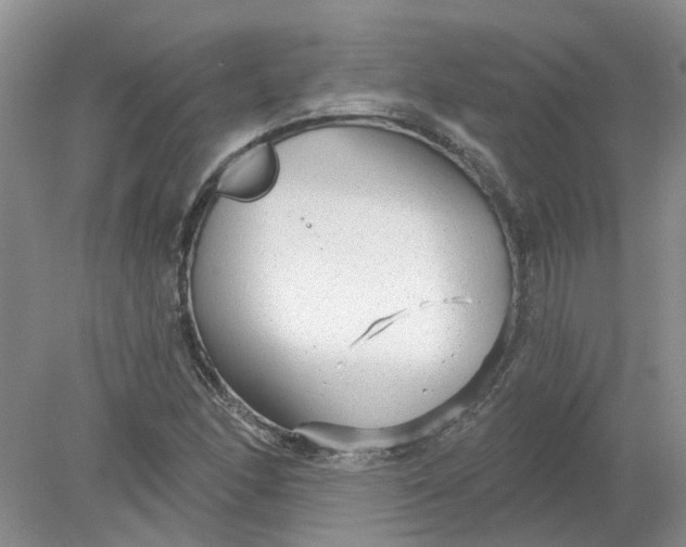 X0000078291166200611172115