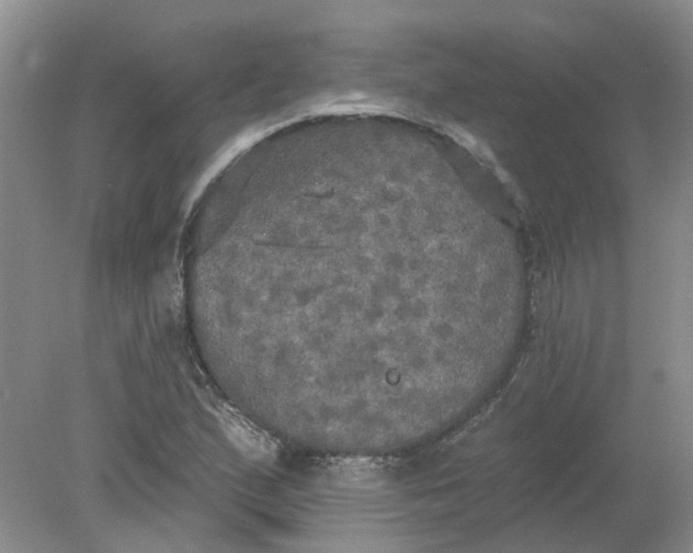 X0000078291167200611172115