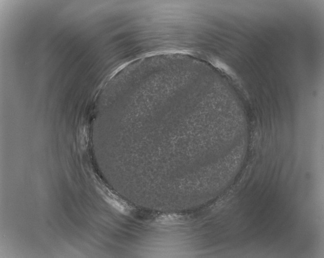 X0000078291169200611172115