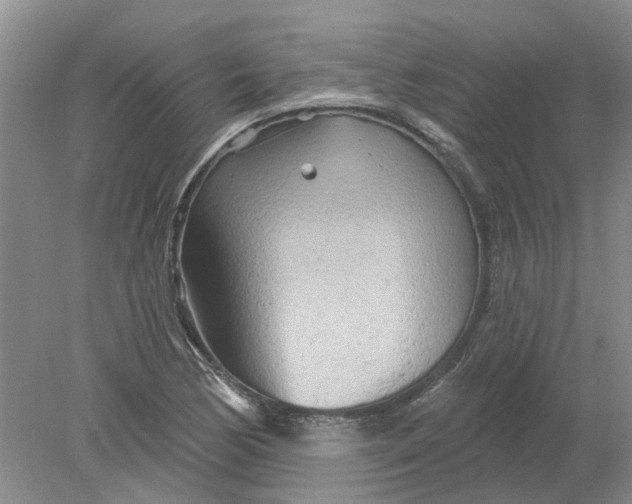 X0000078291170200611172115