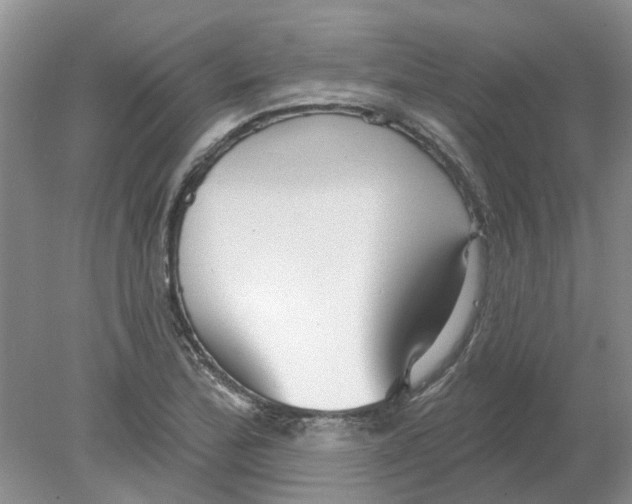 X0000078291172200611172115