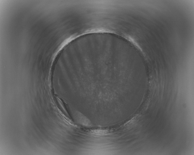 X0000078291173200611172115