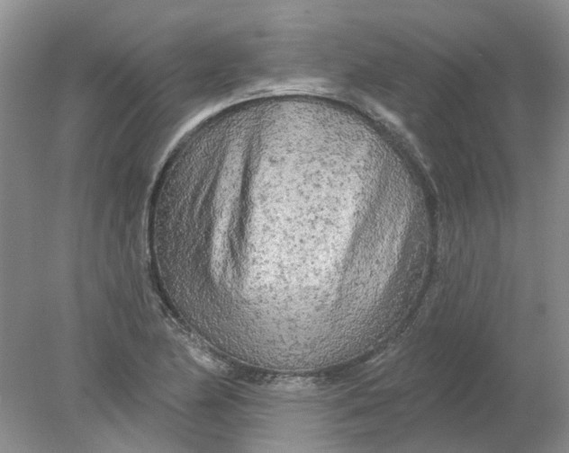 X0000078291174200611172114