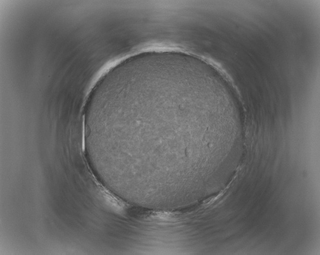 X0000078291175200611172114