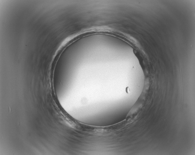 X0000078291176200611172114