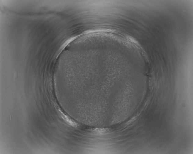 X0000078291177200611172114