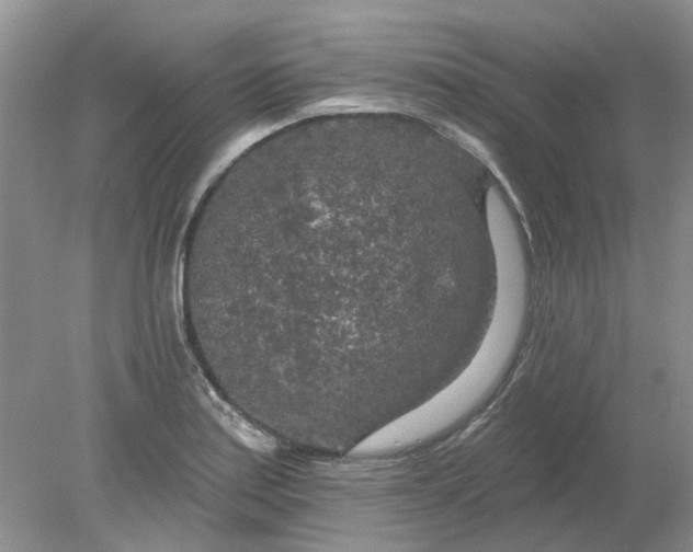 X0000078291179200611172114