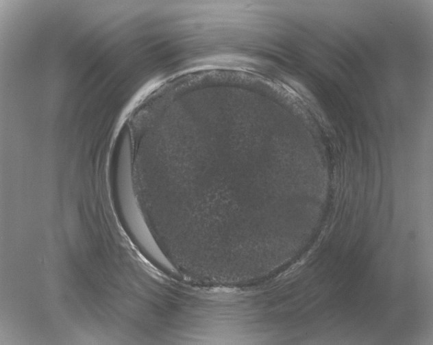 X0000078291180200611172114