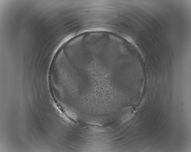 X0000078291181200611172114