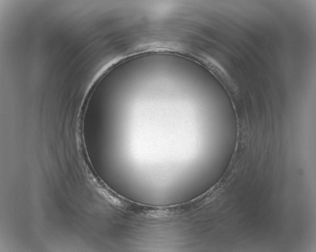 X0000078291182200611172114