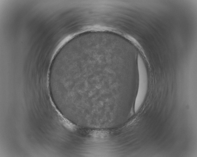 X0000078291183200611172114